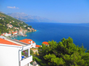 Villa Gloria, Mimice